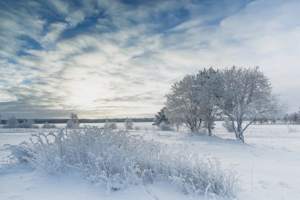 Фотографию Андрея Серикова, на которой изображен солнечный зимний день, опубликовали на официальной странице National Geografic Россия в социальной сети