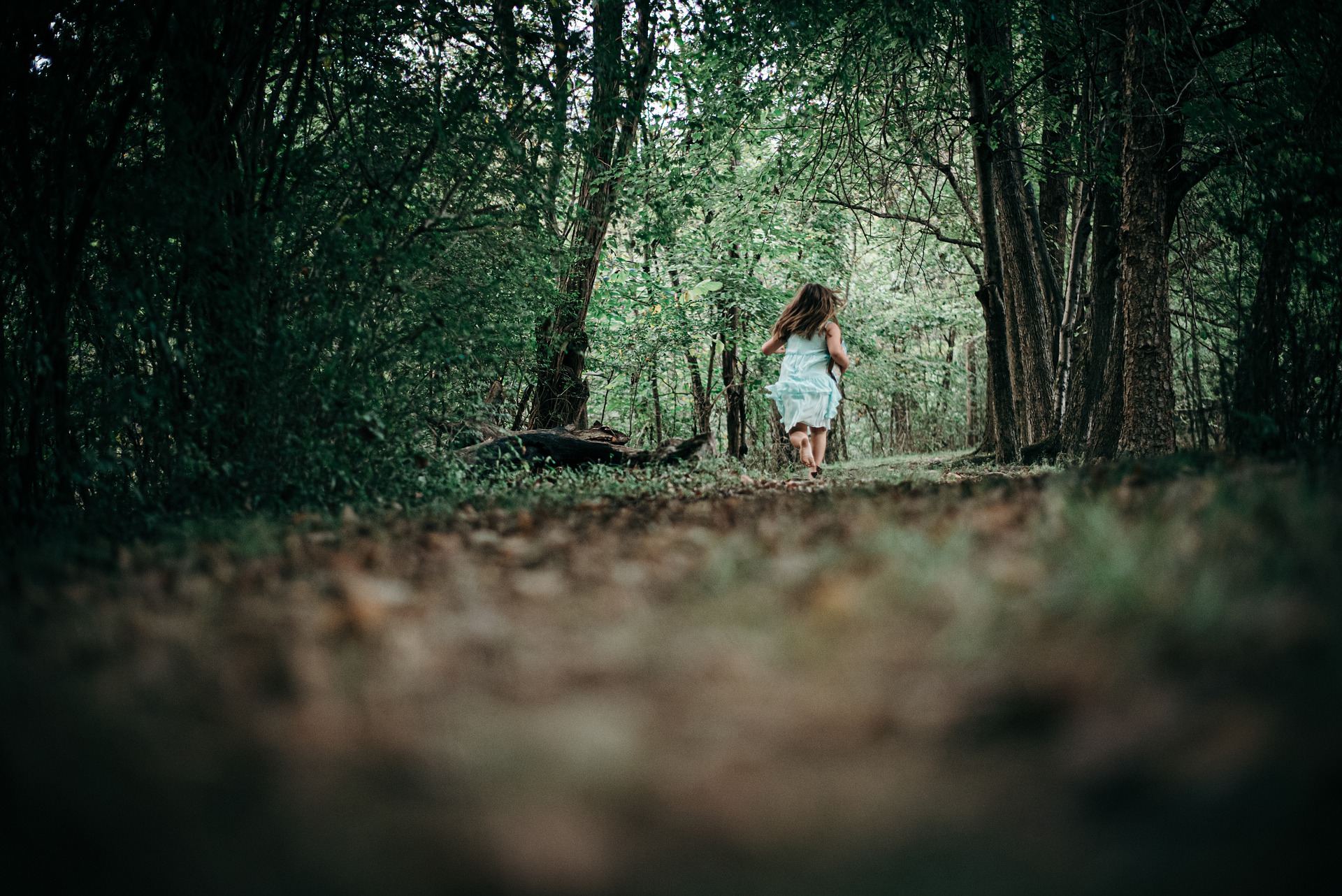 девочка в лесу