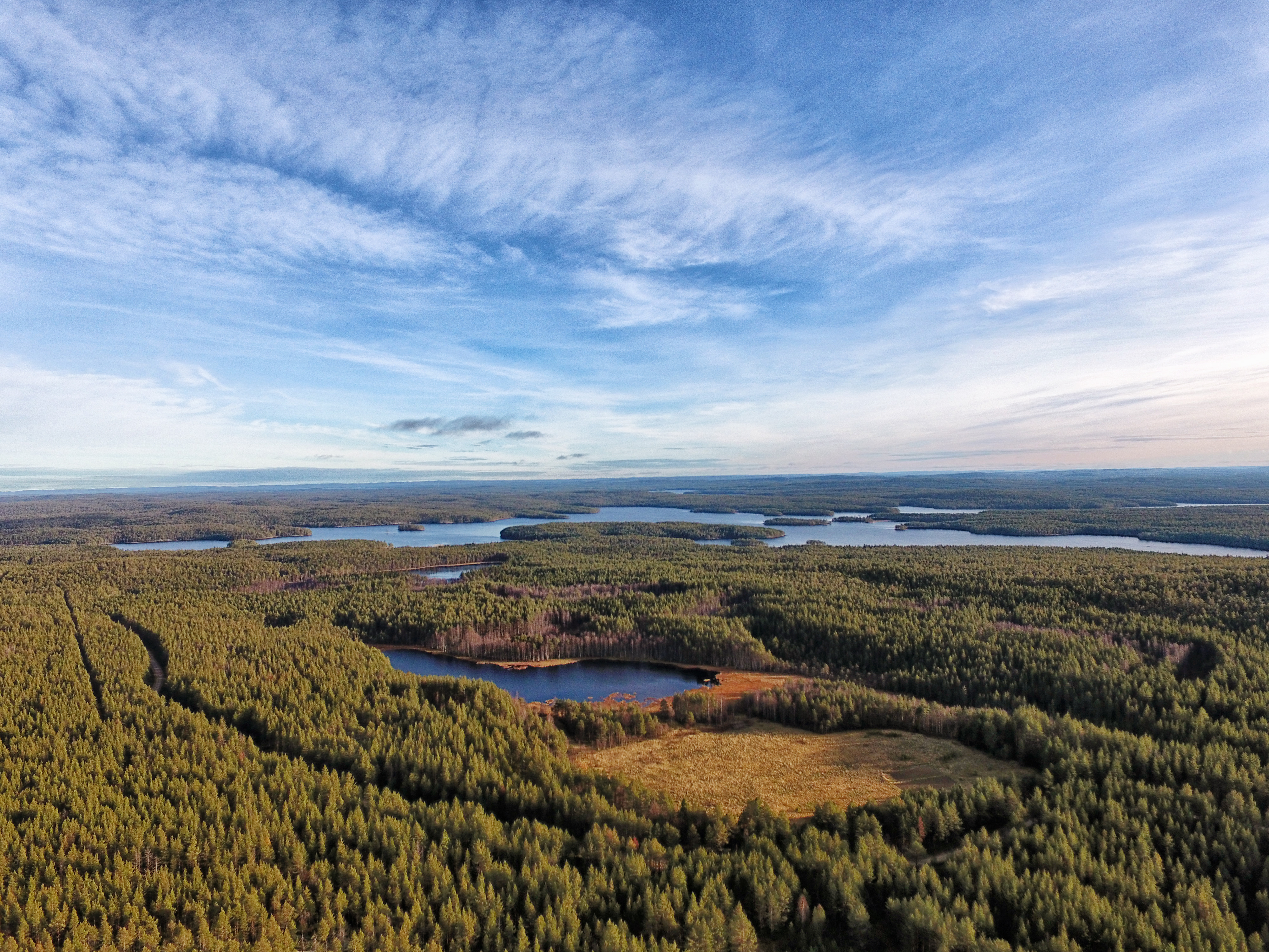 Вид с высоты на НП Калевальский. Фото Артёма Шилина