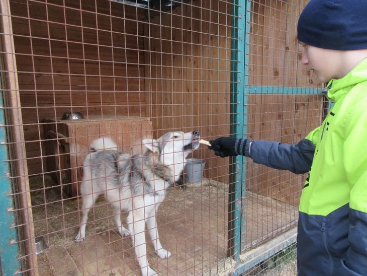 Свободных рук не хватает круглогодично” | 64 параллель онлайн