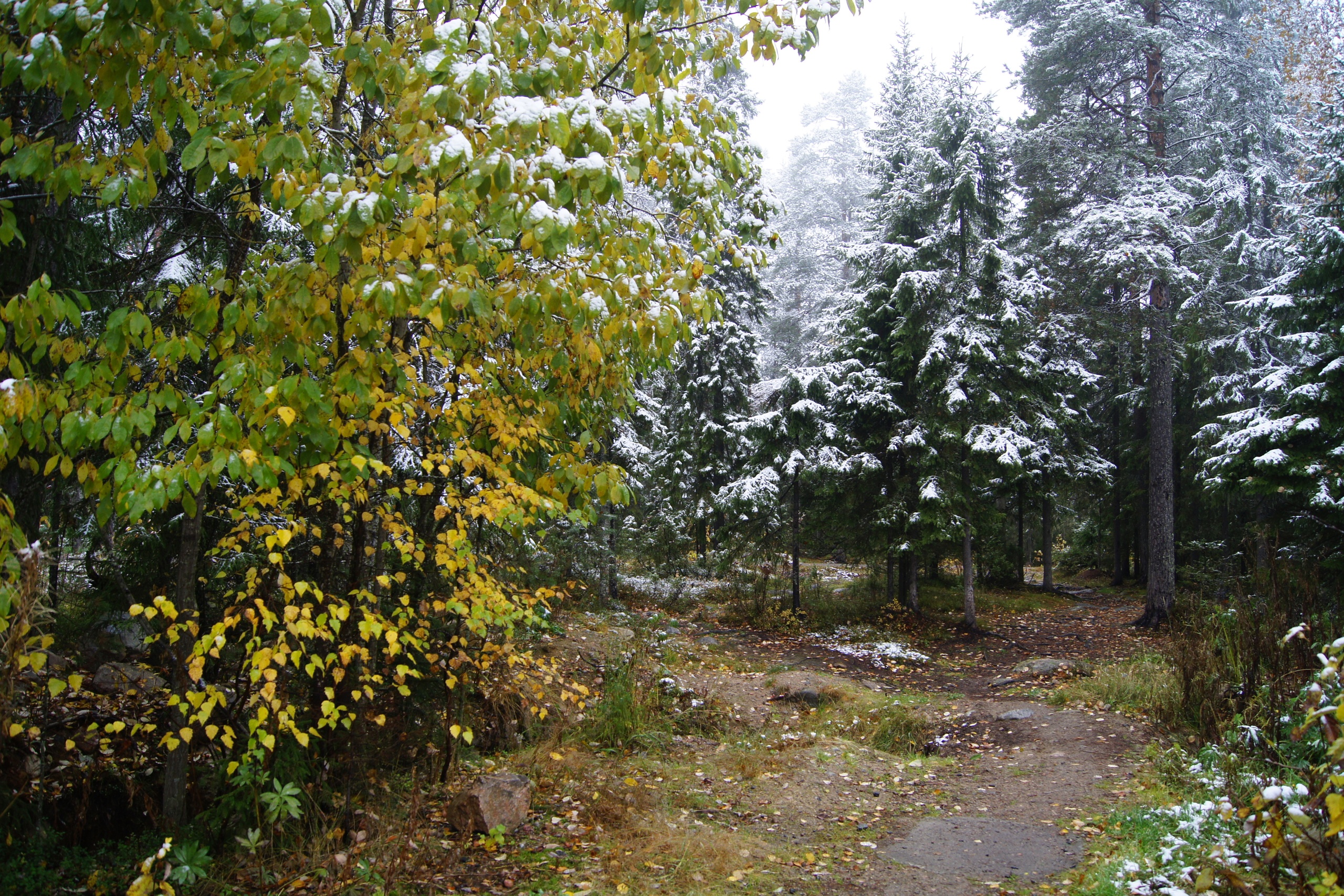 Осень, Зима, Снег