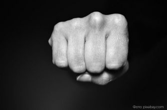 Фото: pixabay.com